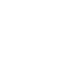 Express package box icon for shipping information